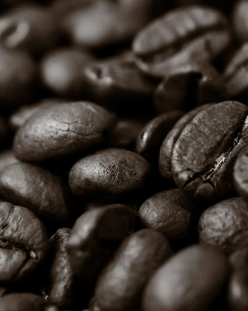 Close-up of roasted coffee beans