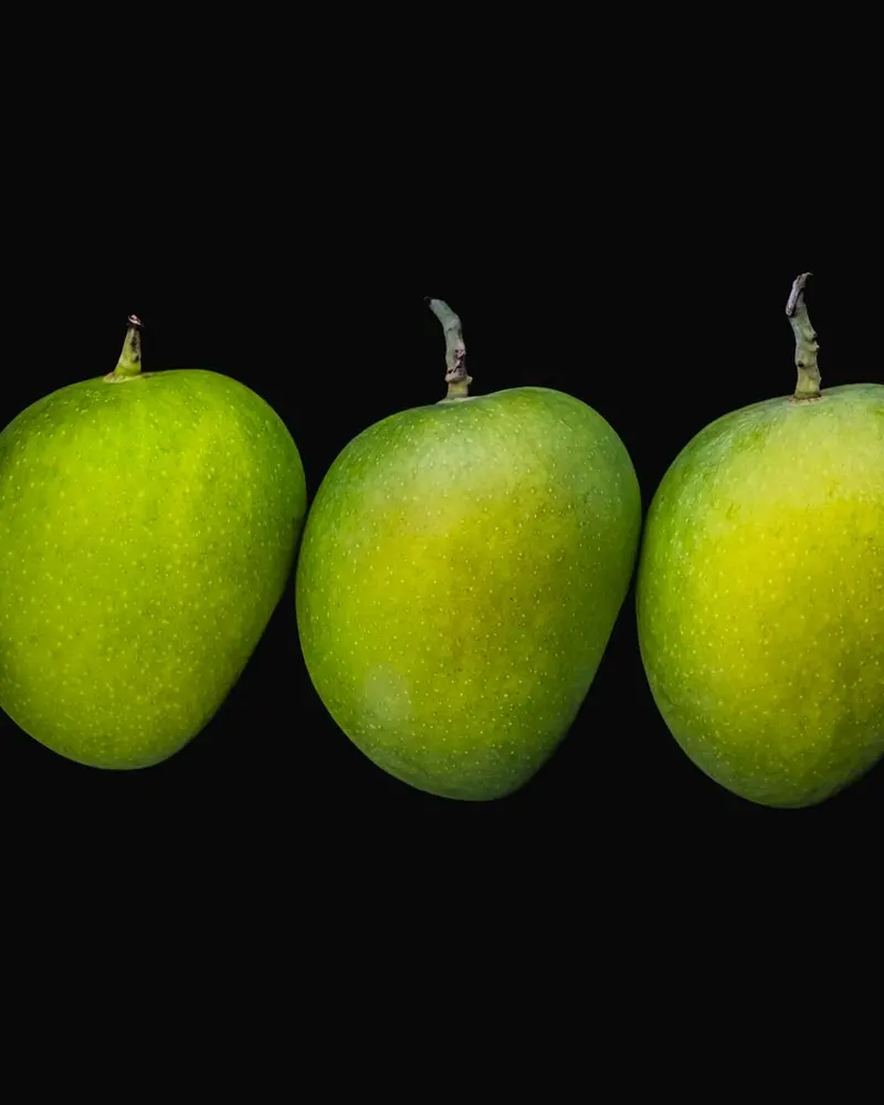 Four green mangoes in a row on a black background
